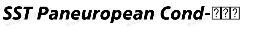 SST Paneuropean Cond字体转换